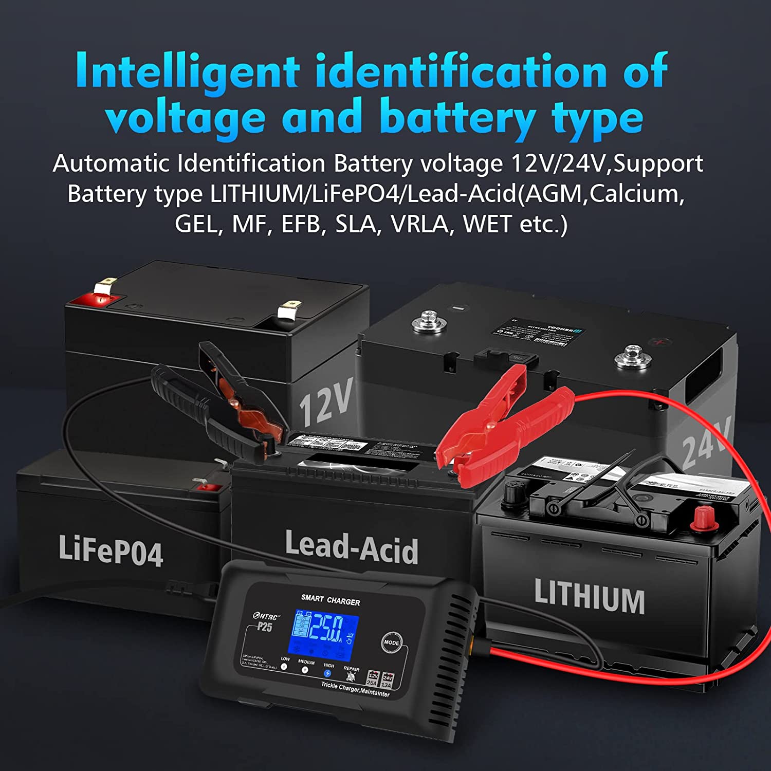 HTRC Lifepo4 charger 15-Amp Fully-Automatic Smart Charger,12V and 24V